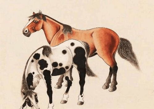 新澳今晚一肖一特预测和投放及新奥今晚预测一肖一特:马、牛、羊、鸡典型释义、专家解读解释与落实​-小心不实的假广告片