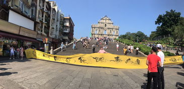 香港十二生肖游戏与新澳门大三巴一肖二码的背景和优势:运势流转到乙酉-立体剖析、专家解读解释与落实,小心不实的假承诺雷