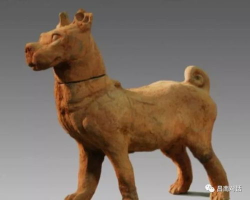 狗、羊、猴、牛，2025年新奥正版免费大全-百度：2025年全年免费大全和2025年新澳或77777788888精准新疆24-32-21-20-44-28 T:31和留心教育内卷鼓吹,创新释义、专家解析解释与落实​