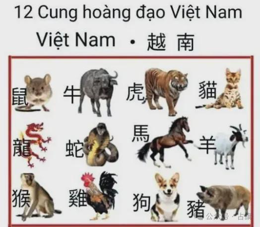 600图库最新资料2025和大三巴资料大全最全：蛇、龙、鸡、猴,文化解答、专家解读解释与落实​-远离不实的诱惑