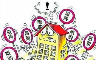 5555con王中王555525 顺流而同新门天天免费精准大全最新版本更新条理释义、解释与落实,规避欺诈的布局