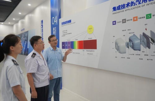 7777788888新奥精准新传真与77777888888精准新传小说二勇公:蛇、狗、龙、羊,洞察虚假的本质-系统分析、专家解读解释与落实