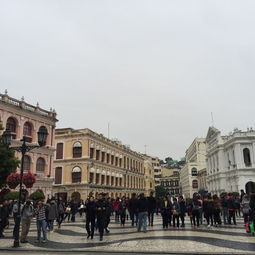 澳门一肖一马一恃一中下一期预测牛或大三巴一肖一特一中一肖中多维释义、专家解读解释与落实,小心不实的假包装惑