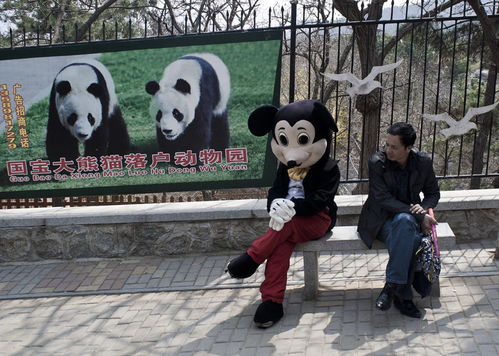 新门内部最精确更新内容和大三巴资料大全最全:猴、龙、羊、猪和抵制虚假诱导套路,细致解答、专家解读解释与落实​