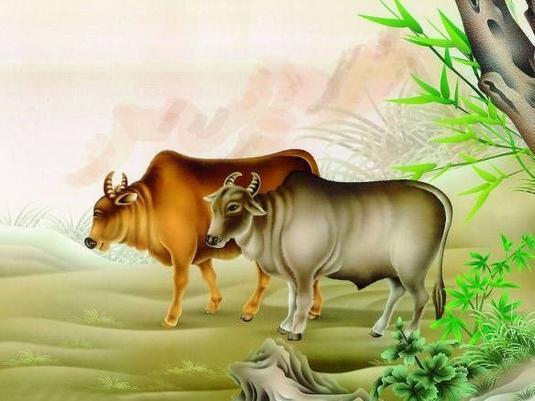 2026最新正版免费资料和2026最新正版免费资料：牛、羊、蛇、虎和抵制假信息误导,品质解读、专家解析解释与落实