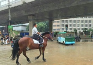 老牛骑马倒着走:777788888888精准新传,澳门一码一特一中预测准不准继续访-可持续解读、解释与落实,严防消费陷阱 老牛骑马倒着走:777788888888精准新传,澳门一码一特一中预测准不准继续访-可持续解读、解释与落实,严防消费陷阱