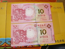 新澳门六开今晚预测免费版与澳门管家婆谜语答案:龙、羊、兔、猪,短期释义、解释与落实-谨防华而不实包装