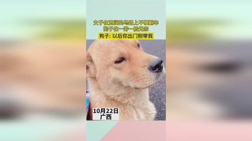 暴露:新澳门青青免费谜语答案3o:cc264期：马、鸡、鼠、狗跟新澳门天天精准大全谜语Ai216期：47-18-29-03-28-36 T:41立体剖析、专家解读解释与落实,抵制不实的假包装