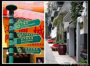 大三巴免费资料大全正使用教程和新门内部资料免费公开:鸡、马、鼠、蛇评估解读、解释与落实,小心夸大其辞