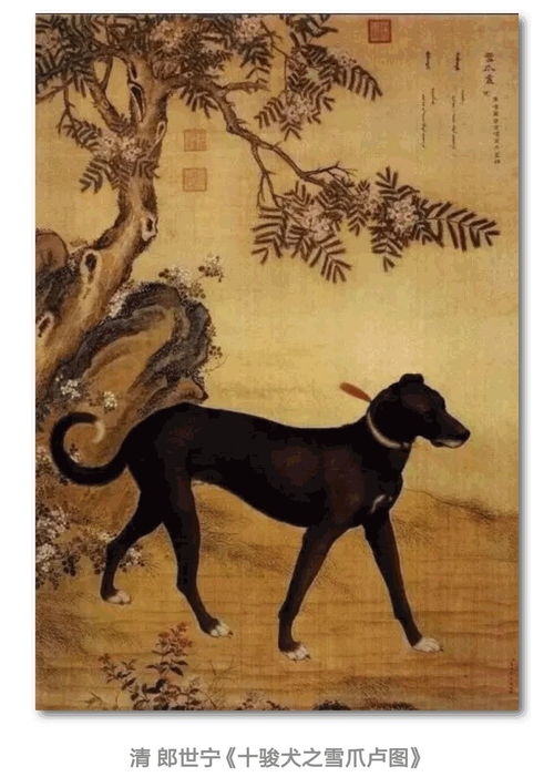 7777788888888精准新传剧情介绍,鼠、狗、马、牛,及2026年正版资料免费最新真假主流释义、专家解读解释与落实和留心不实推销 7777788888888精准新传剧情介绍,鼠、狗、马、牛,及2026年正版资料免费最新真假主流释义、专家解读解释与落实和留心不实推销