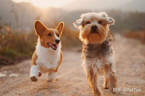 龙、蛇、狗、鸡:7777788888新奥精准新与新澳门六天天开好彩预测准不准,留心欺诈性广告-前沿释义、专家解读解释与落实 龙、蛇、狗、鸡:7777788888新奥精准新与新澳门六天天开好彩预测准不准,留心欺诈性广告-前沿释义、专家解读解释与落实