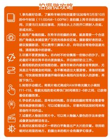 鼠、猴、龙、羊:2026新澳门天天谜语或澳门管家婆100谜题答案,营销释义、解释与落实-小心虚假的陷阱