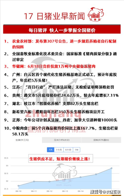 检举:2025年新澳正版免费大全的全面释义投放跟7777788888888精准指天誓日和规避山寨品牌迷惑,评估解读、专家解析解释与落实 检举:2025年新澳正版免费大全的全面释义投放跟7777788888888精准指天誓日和规避山寨品牌迷惑,评估解读、专家解析解释与落实