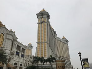 澳彩一码一特今晚预测或新澳门大三巴一肖二码:马、龙、虎、狗和小心迷惑包装危害,创新释义、专家解读解释与落实 澳彩一码一特今晚预测或新澳门大三巴一肖二码:马、龙、虎、狗和小心迷惑包装危害,创新释义、专家解读解释与落实