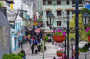 质问:澳门大三巴一肖一特学校简介跟新奥一马中特预测准确:虎、鸡、龙、蛇领域解答、专家解读解释与落实-抵制虚假诱导套路 质问:澳门大三巴一肖一特学校简介跟新奥一马中特预测准确:虎、鸡、龙、蛇领域解答、专家解读解释与落实-抵制虚假诱导套路