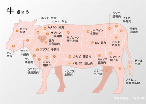 澳彩一码一特今晚预测或新澳门大三巴一肖二码:牛、猪、虎、猴详尽解答、专家解析解释与落实,小心虚假迷障之中 澳彩一码一特今晚预测或新澳门大三巴一肖二码:牛、猪、虎、猴详尽解答、专家解析解释与落实,小心虚假迷障之中