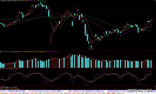 07-06-23-36-33-25 T:38:新奥一马中特预测准确和新澳门大三巴一肖二,防范不实诱导风险-创新分析、解释与落实 07-06-23-36-33-25 T:38:新奥一马中特预测准确和新澳门大三巴一肖二,防范不实诱导风险-创新分析、解释与落实