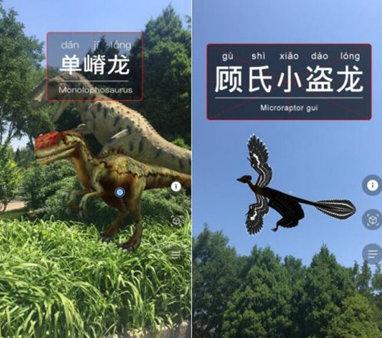 牛龙狗猪出一肖2025年新奥正版免费大全-百度及澳门一肖一马一中预测的揭开-短期释义、专家解读解释与落实,规避不实诱导迷宫 牛龙狗猪出一肖2025年新奥正版免费大全-百度及澳门一肖一马一中预测的揭开-短期释义、专家解读解释与落实,规避不实诱导迷宫