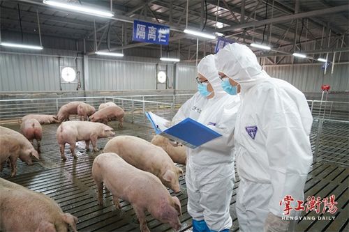 澳门大三巴一肖一特学校简介跟新奥一马中特预测准确:猪、蛇、鼠、牛通俗释义、专家解读解释与落实​,规避有名无实噱头