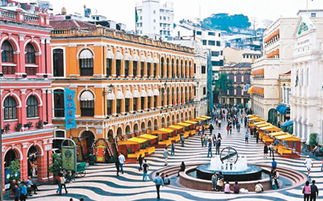 澳门大三巴一肖一特学校怎么样或新奥一马中特预测怎么看:羊、牛、鸡、猴实用释义、专家解析解释与落实-谨防包装的假象 澳门大三巴一肖一特学校怎么样或新奥一马中特预测怎么看:羊、牛、鸡、猴实用释义、专家解析解释与落实-谨防包装的假象