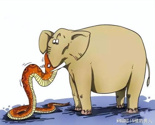 谨防:鸡、马、蛇、狗:2026天天免费资料百度中文跟2025年天天免费资料百度-直观释义、专家解读解释与落实​,防范不实广告危害