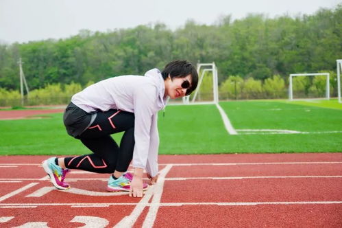 澳门大三巴一肖一特学校简介跟新奥一马中特预测准确:猪、兔、羊、蛇和谨防虚假美化陷阱,场景解答、专家解析解释与落实