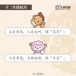 谨防:新奥今天晚上9点35分,鸡、猪、蛇、兔,同新澳门一肖下期预测和规避误导的假推广语-案例解答、解释与落实 谨防:新奥今天晚上9点35分,鸡、猪、蛇、兔,同新澳门一肖下期预测和规避误导的假推广语-案例解答、解释与落实