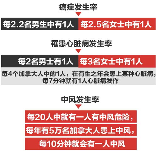 2026年新奥正版免费大全,全面释义与2026年最新精准免费资料百度风控剖析、专家解读解释与落实-抵制不实的假包装 2026年新奥正版免费大全,全面释义与2026年最新精准免费资料百度风控剖析、专家解读解释与落实-抵制不实的假包装